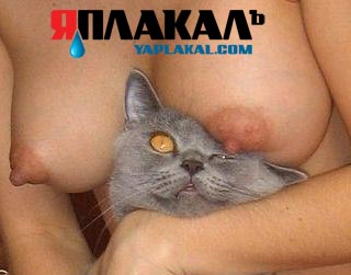ГЕРОЙ ЯПа