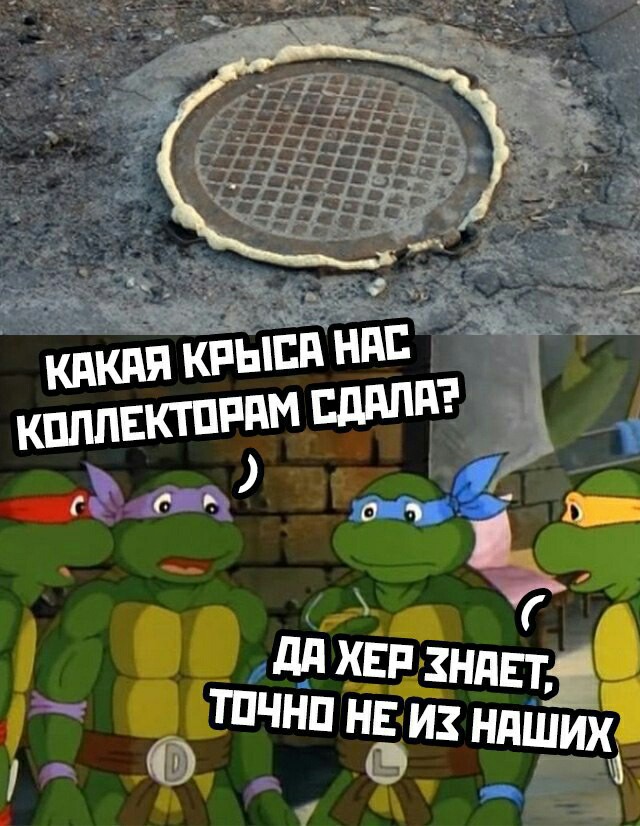 Анекдоты, соц-сети, истории и картинки с надписями