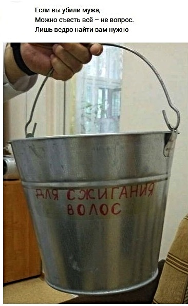 Анекдоты, соц-сети, истории и картинки с надписями