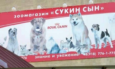 Необычные названия и вывески