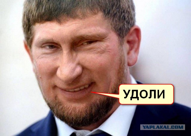 Руководителем Совбеза Чечни назначен 23-летний племянник Кадырова