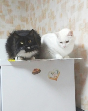 Хышник, 4 месяца отроду