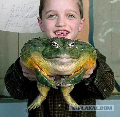 Фотожаба : Поздравил с днем рождения !