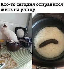 Все замужние женщины завидуют холостым парням  и это факт , а не реклама!