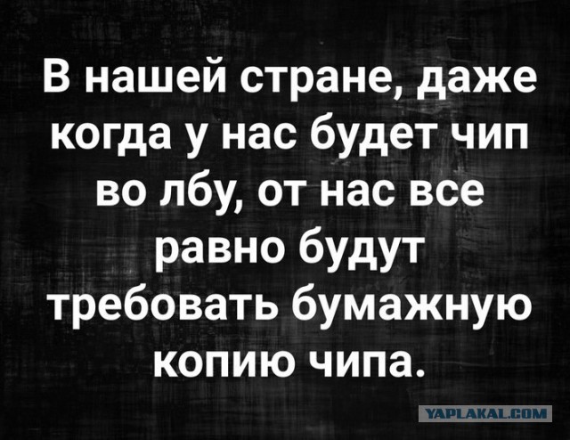 "Справку принеси!": ситуации, которых бы не было без бюрократизма