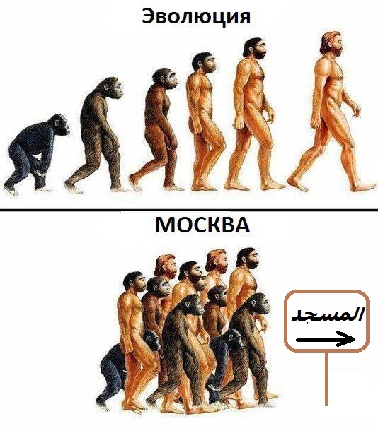 Бредзона 15.03.21
