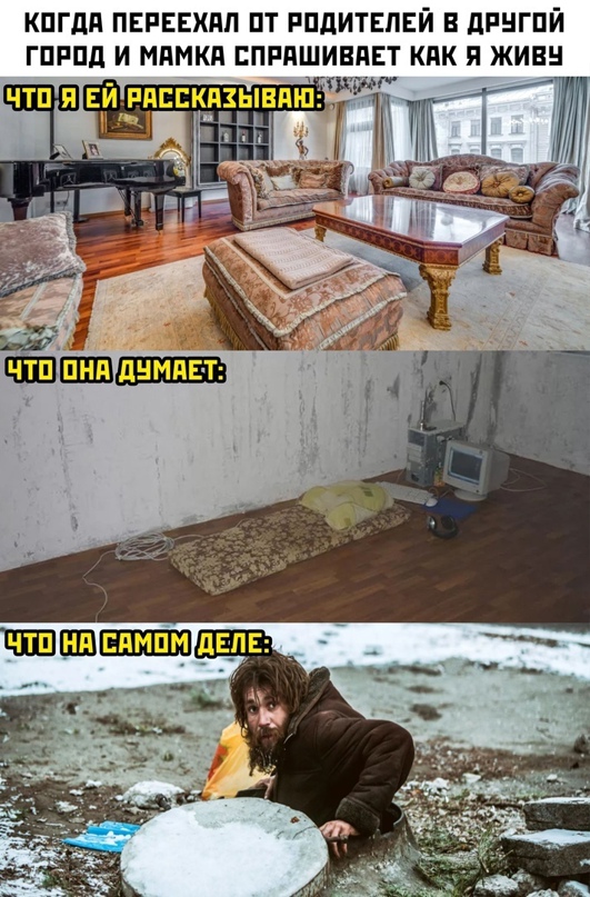 Весёлый полтишок 23.03