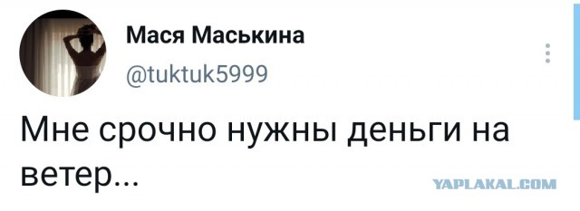 КАРАнтинки, новости с юмором