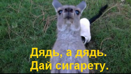 Детский сад