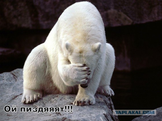 Собянин встретился с русскими дворниками в Москве