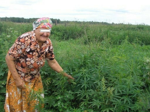 Я родился