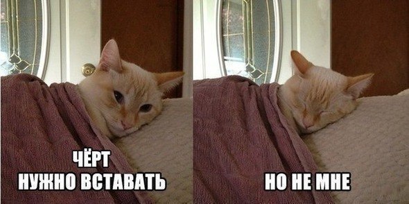 Так себе картинки 27.05.21