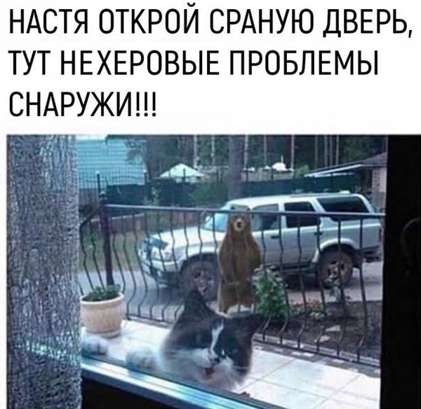 Весёлый полтишок 4.07