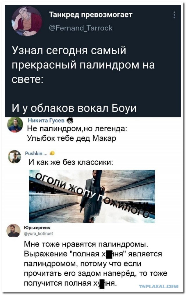 Забавные комментарии из социальных сетей 01.11.21