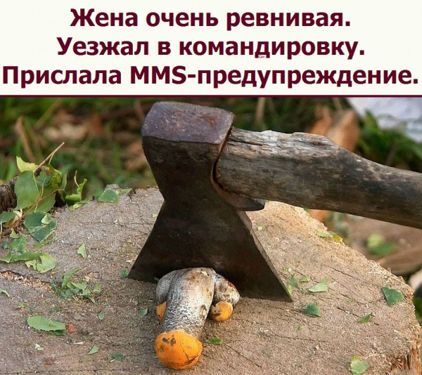 Всяческие картинки 10.11.2021