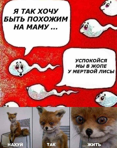 ПостНовогодняя ХНЯ, для дорогих деградантов