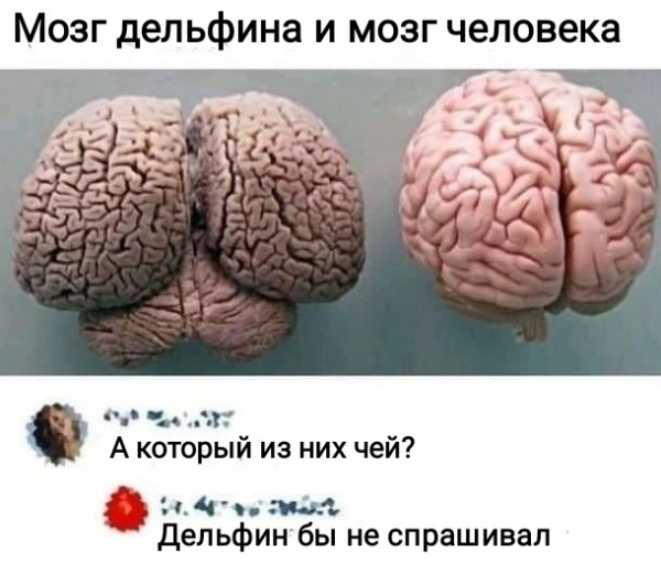 Как обмануть обманщиков