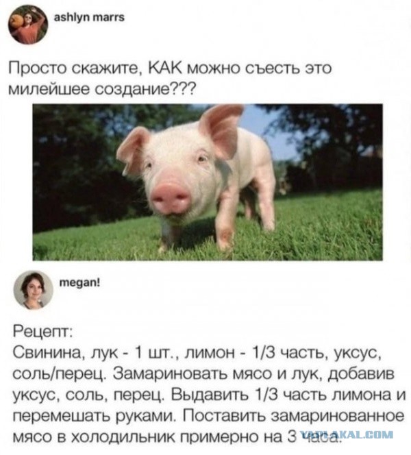 Так себе картинки 07.04.22