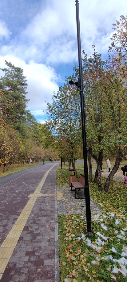 Осень. Солнце. Новосиб