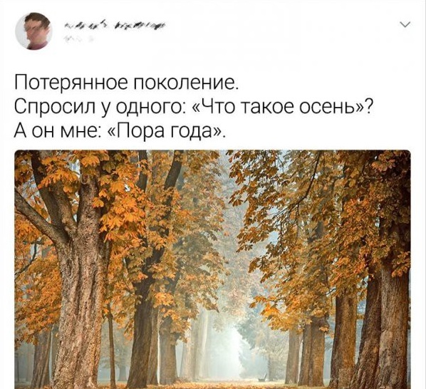 Забавные шутки и картинки из этих ваших интернетов 24.10.2022