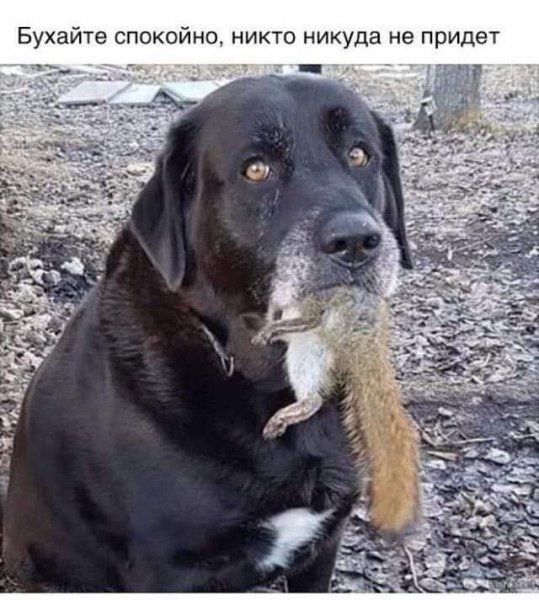 Картинки и мемы. Выходные близко...