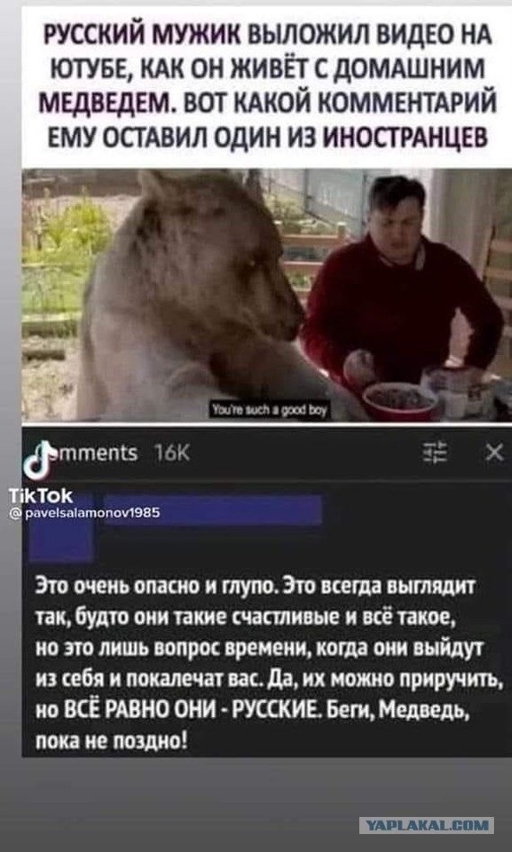 Медведь напал на людёв
