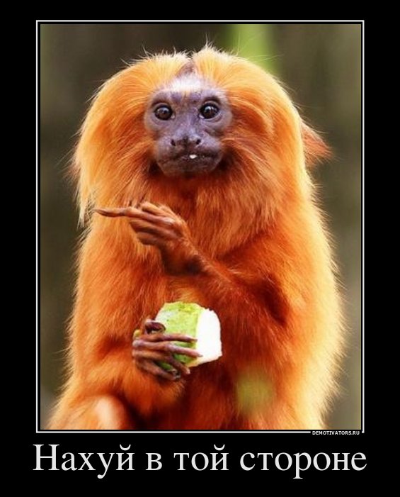 Связываться не рекомендую!