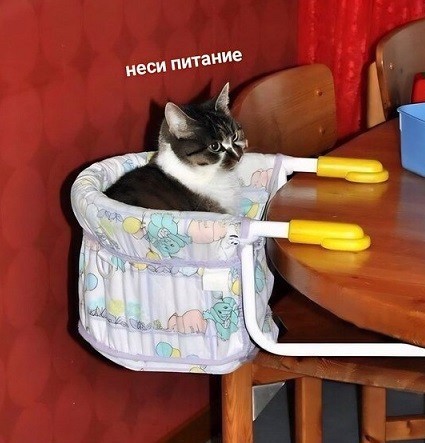 Не, кожаный, для тебя свободных мест нет