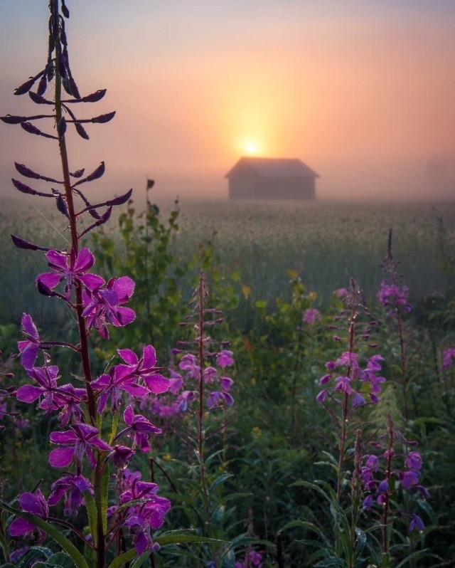 ФотоВинегрет