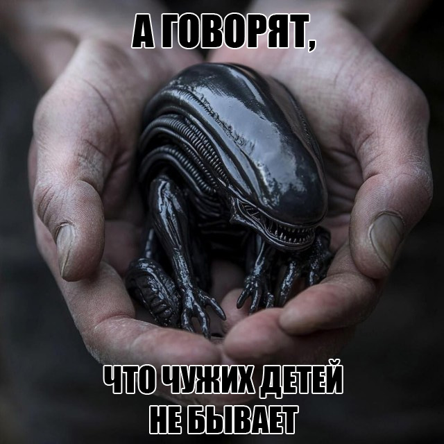 Нуштош 31.10.2024