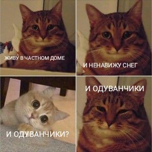 Пост одной фотографии. Встречаем зиму