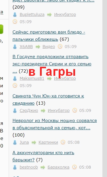 В Госдуме предложили отправить экс-президента Сирии и его семью восстанавливать Донбасс.