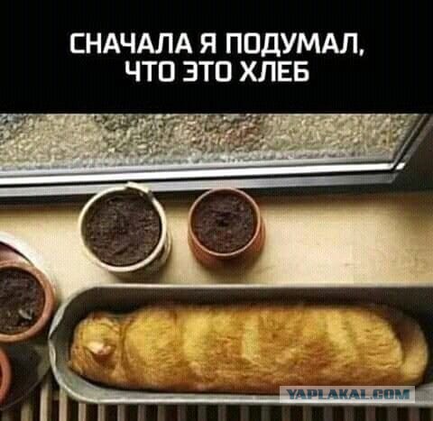 Так себе картинки 21.12.24