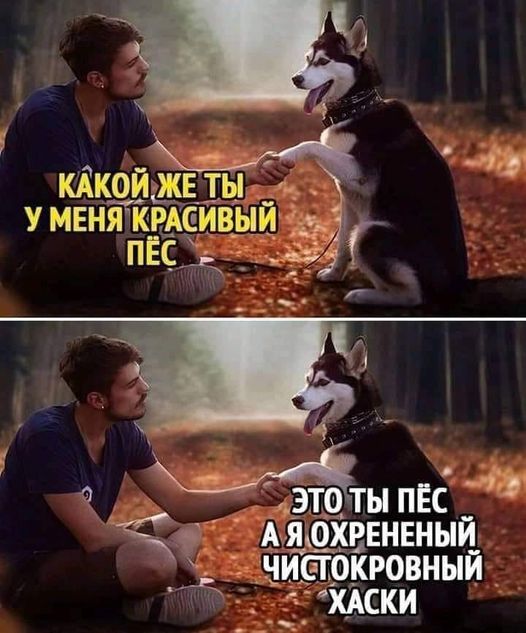 Завалялось тут случайно немного забавных картинок