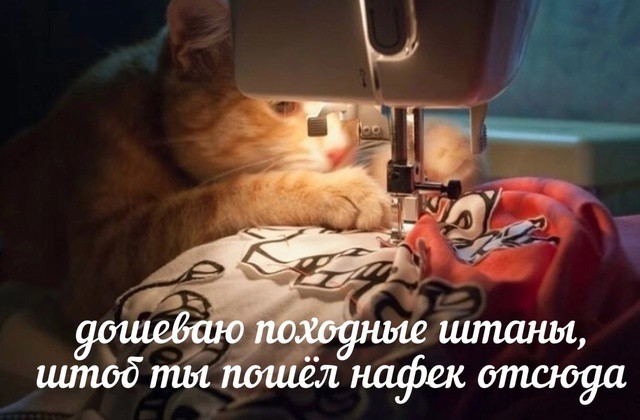 Всего понемногу. От 14.02.2025