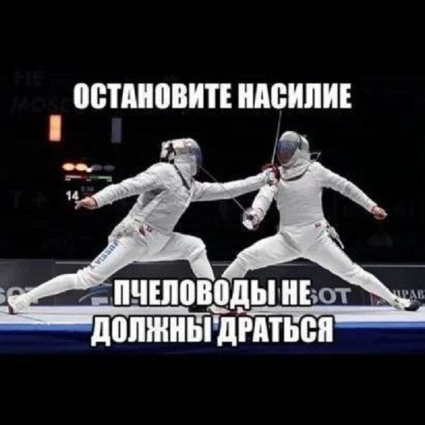 Весёлый полтишок 18.03.2025