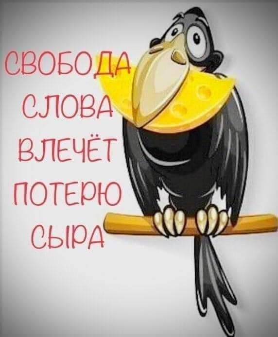 Прикольные и просто красивые картинки 04.04.2025