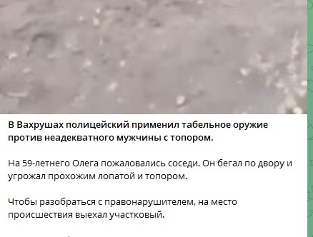 Ветеран Афганистана получил пулю от полицейских, когда шёл на них с лопаткой, топором и пилой