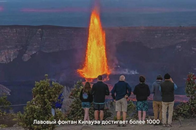 Белый слон и другие картинки