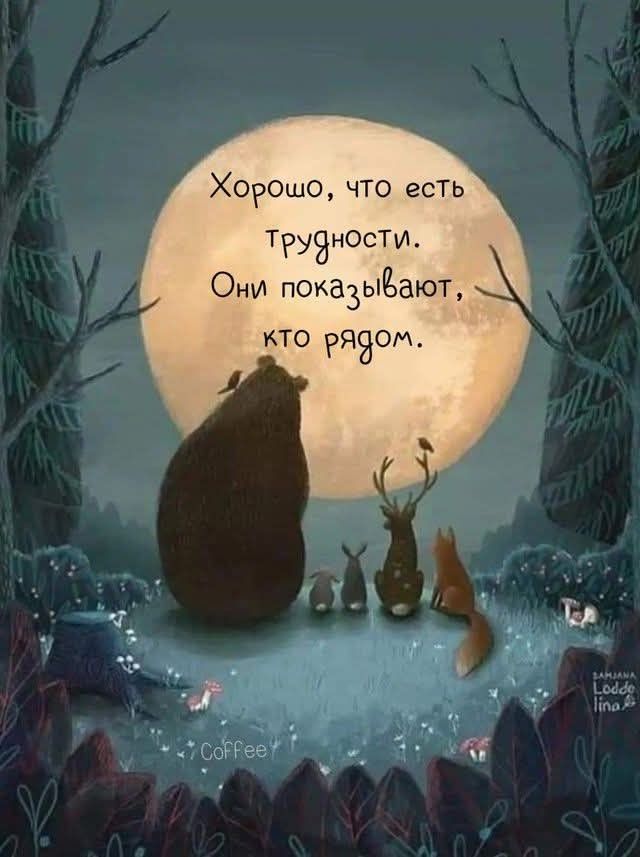 Прикольные и просто красивые картинки