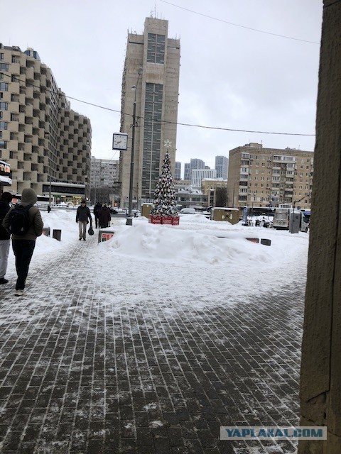 Москва, Сокольники, 2 марта. И так по всей Москве.