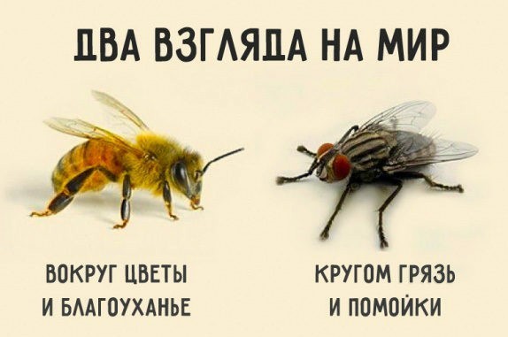 Как живут люди в в Южно-Сахалинске