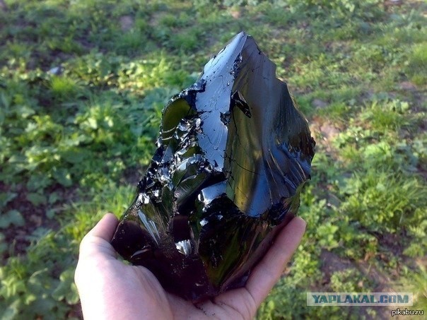 Самые распространенные мифы из детства
