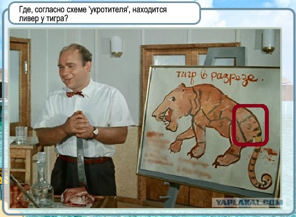 Студентка из Питера вернулась домой