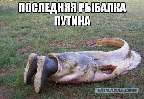 Как в России называют щуку весом 10 килограмм?