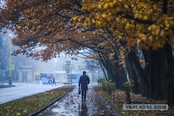 Жить в Москве- то, что за окном и каждый день
