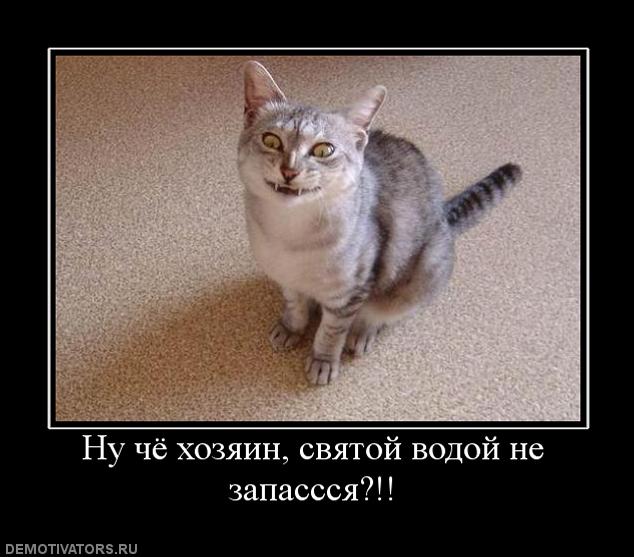 Весёлые картинки. Разбавим будни