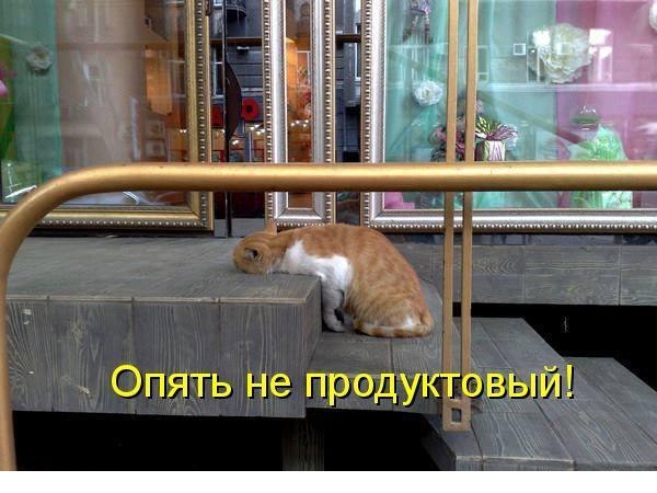 Подборка смешных картинок :)
