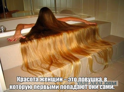 Так...солянка