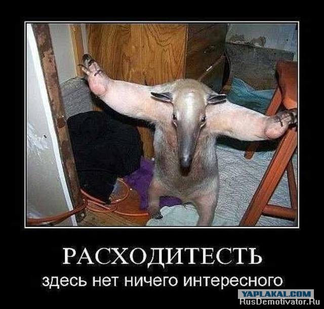 Ребята, завтра будет просто ад